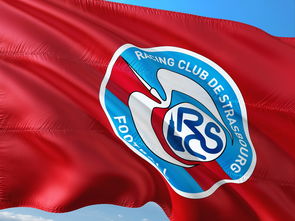 od体育官网app-帕尔梅拉斯赛前体能检测通过，争冠筹备顺利