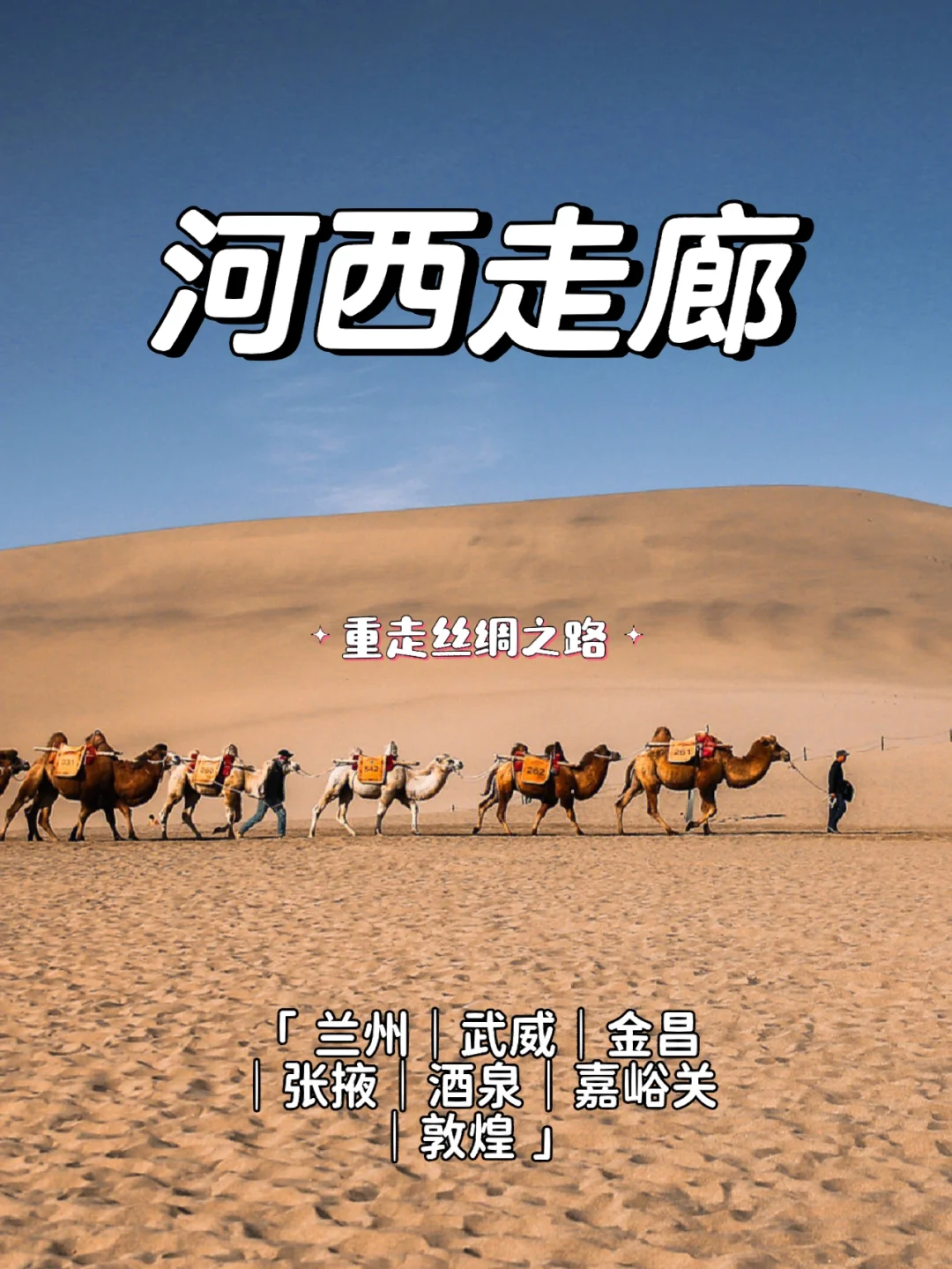 od体育教练-比赛之路波澜壮阔，硝烟弥漫球场的简单介绍